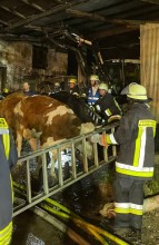 Einsatzfoto 6ad727bc-25bc-4284-b108-6d82cbf83f04.jpg