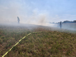 Einsatzfoto 1b608d10-8058-40ea-82b6-1ffd4594a7c5.jpg