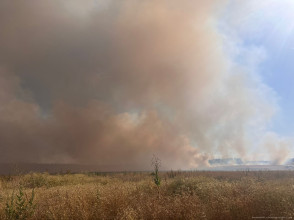 Einsatzfoto 8962a99b-67dc-4086-b2e3-c315a719b7d1.jpg