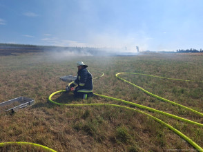 Einsatzfoto 5d0d4a9c-e1d9-41b7-a69a-bc1798e45a01-1.jpg